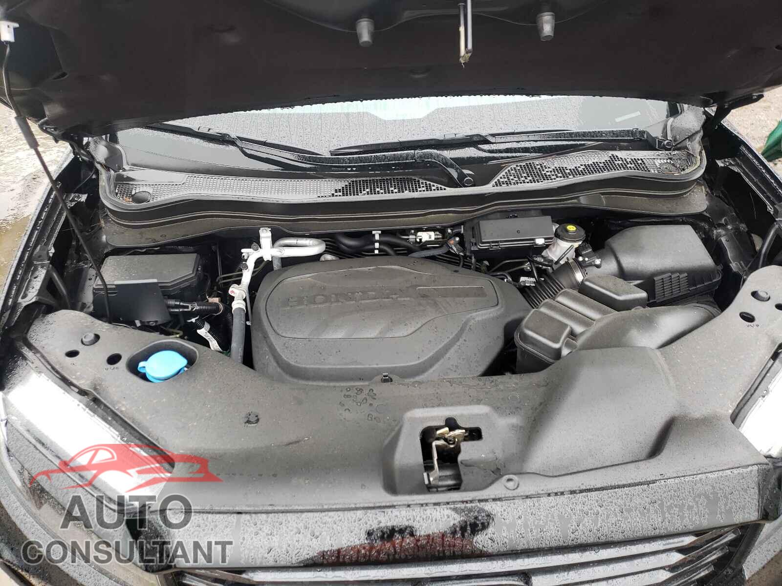 HONDA RIDGELINE 2021 - 5FPYK3F14MB003321