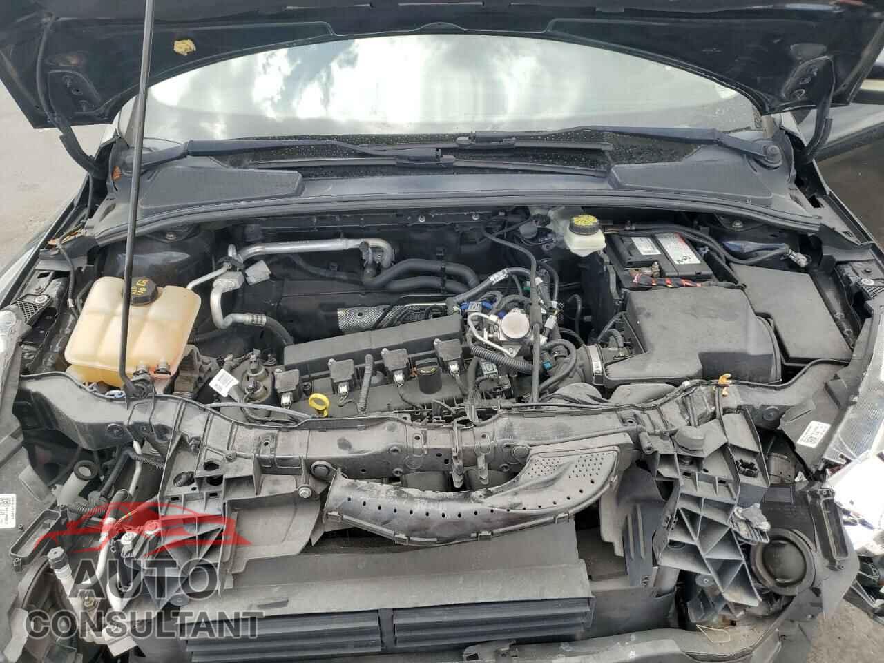 FORD FOCUS 2017 - 1FADP3K24HL241881