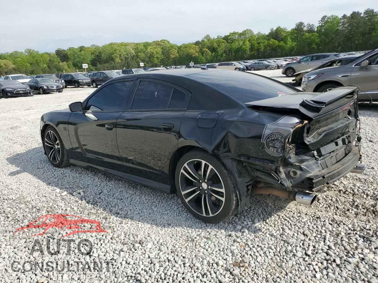 DODGE CHARGER 2013 - 2C3CDXGJ3DH555538