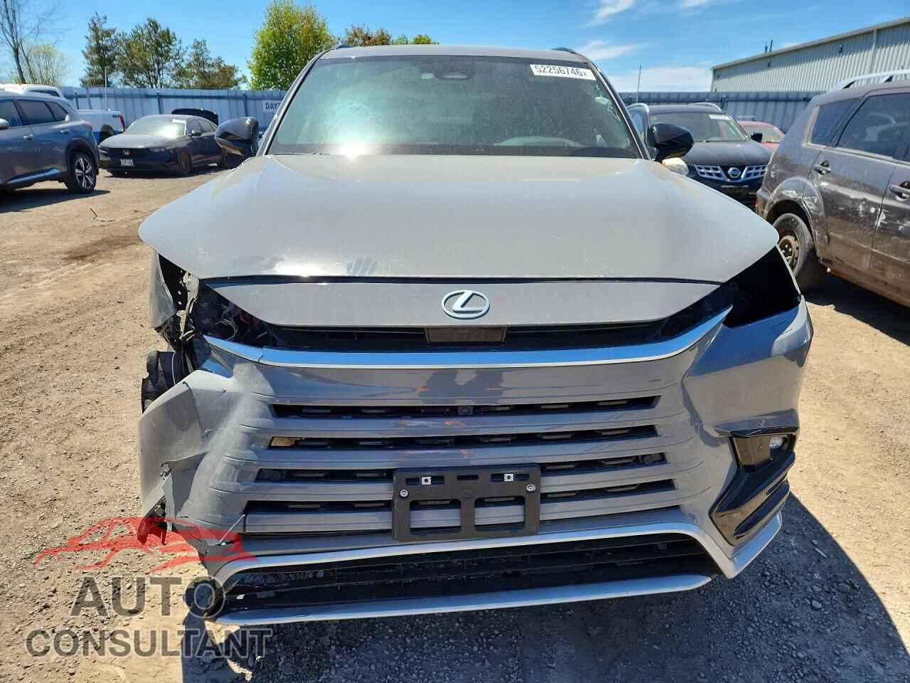 LEXUS UNKNOWN 2025 - 5TDABAB65SS011968