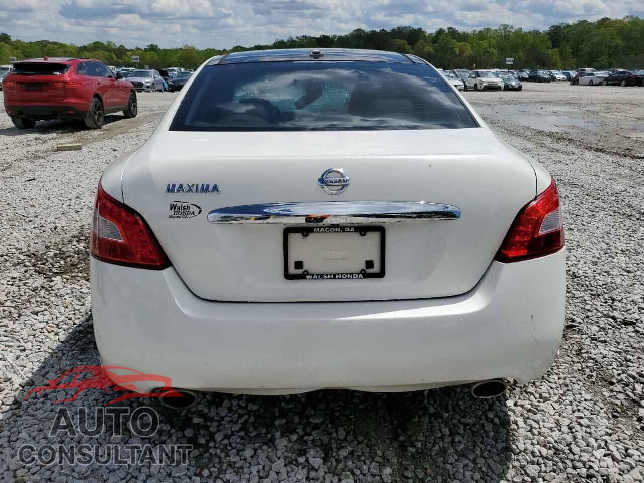 NISSAN MAXIMA 2011 - 1N4AA5AP1BC850656