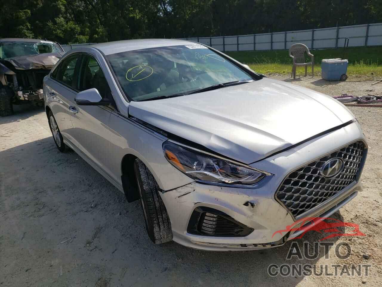 HYUNDAI SONATA 2019 - 5NPE34AF7KH790698