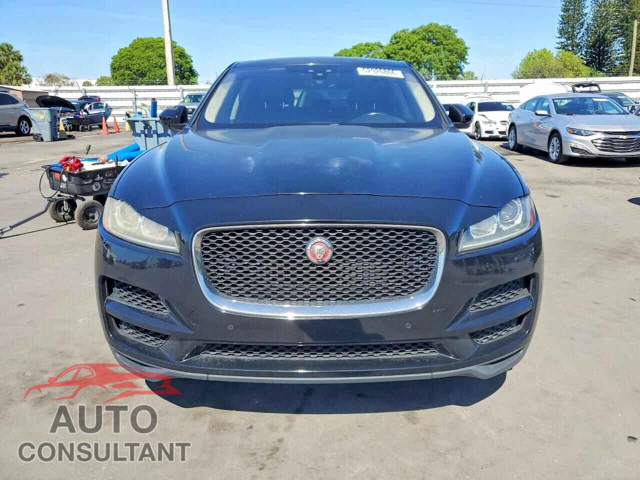 JAGUAR F-PACE 2019 - SADCS2FX2KA602018