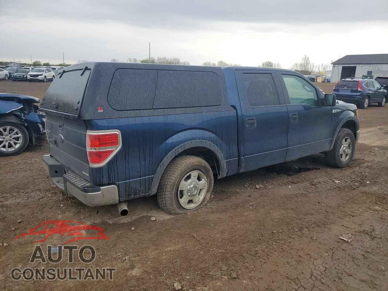 FORD F150 2013 - 1FTFW1CF4DFB85493