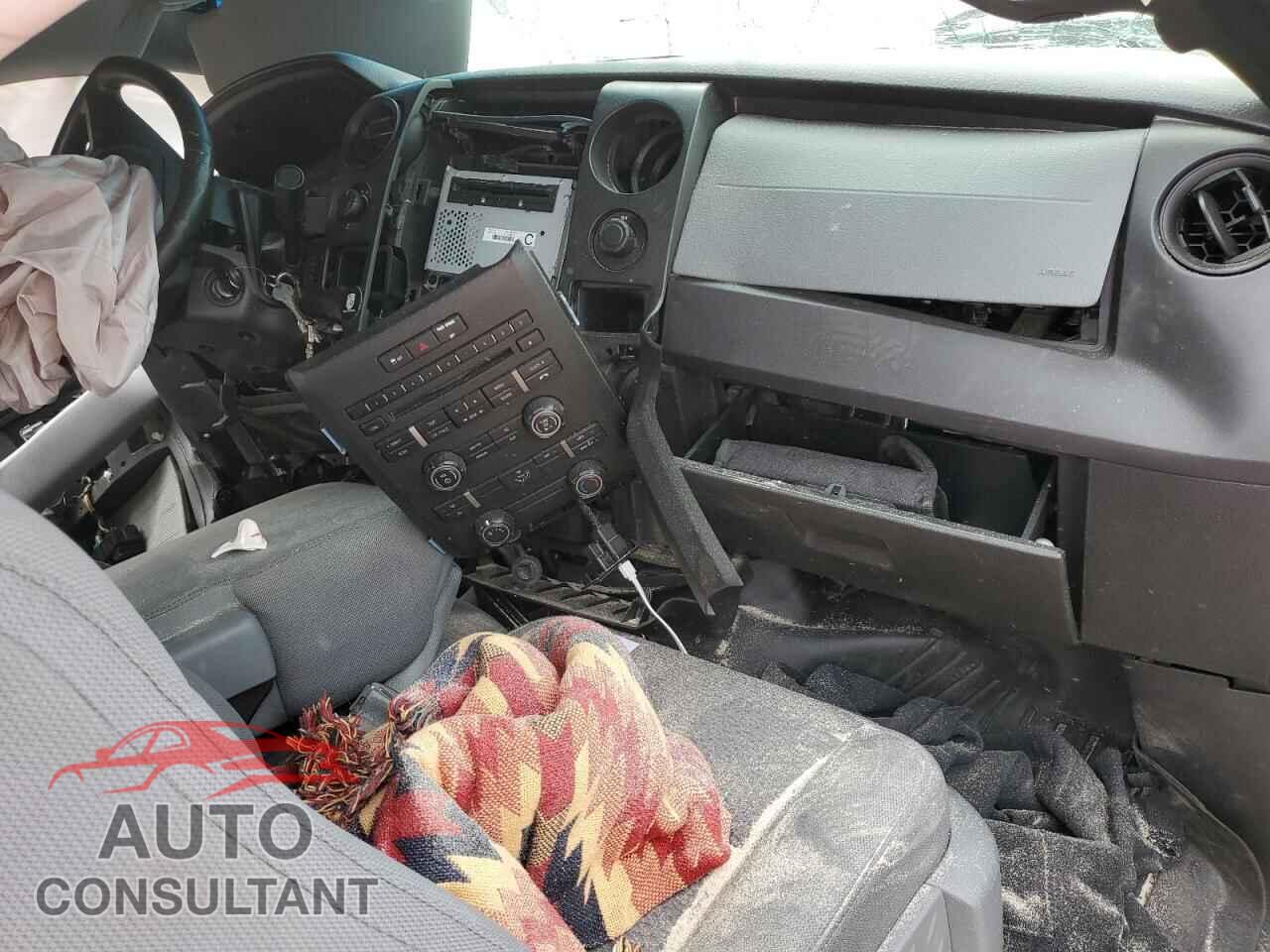 FORD F-150 2013 - 1FTFX1EF0DFD83059