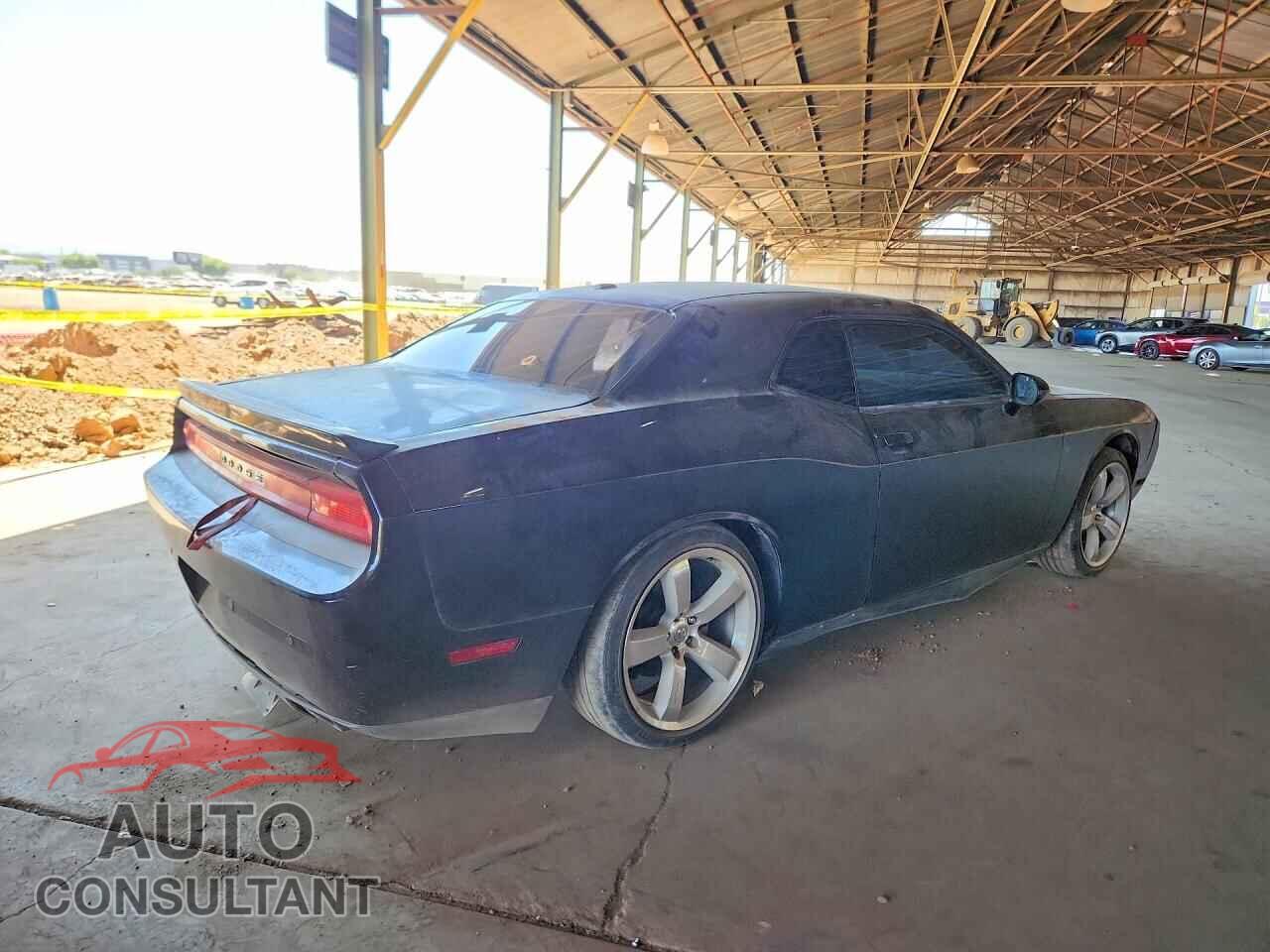DODGE CHALLENGER 2013 - 2C3CDYAG7DH501050