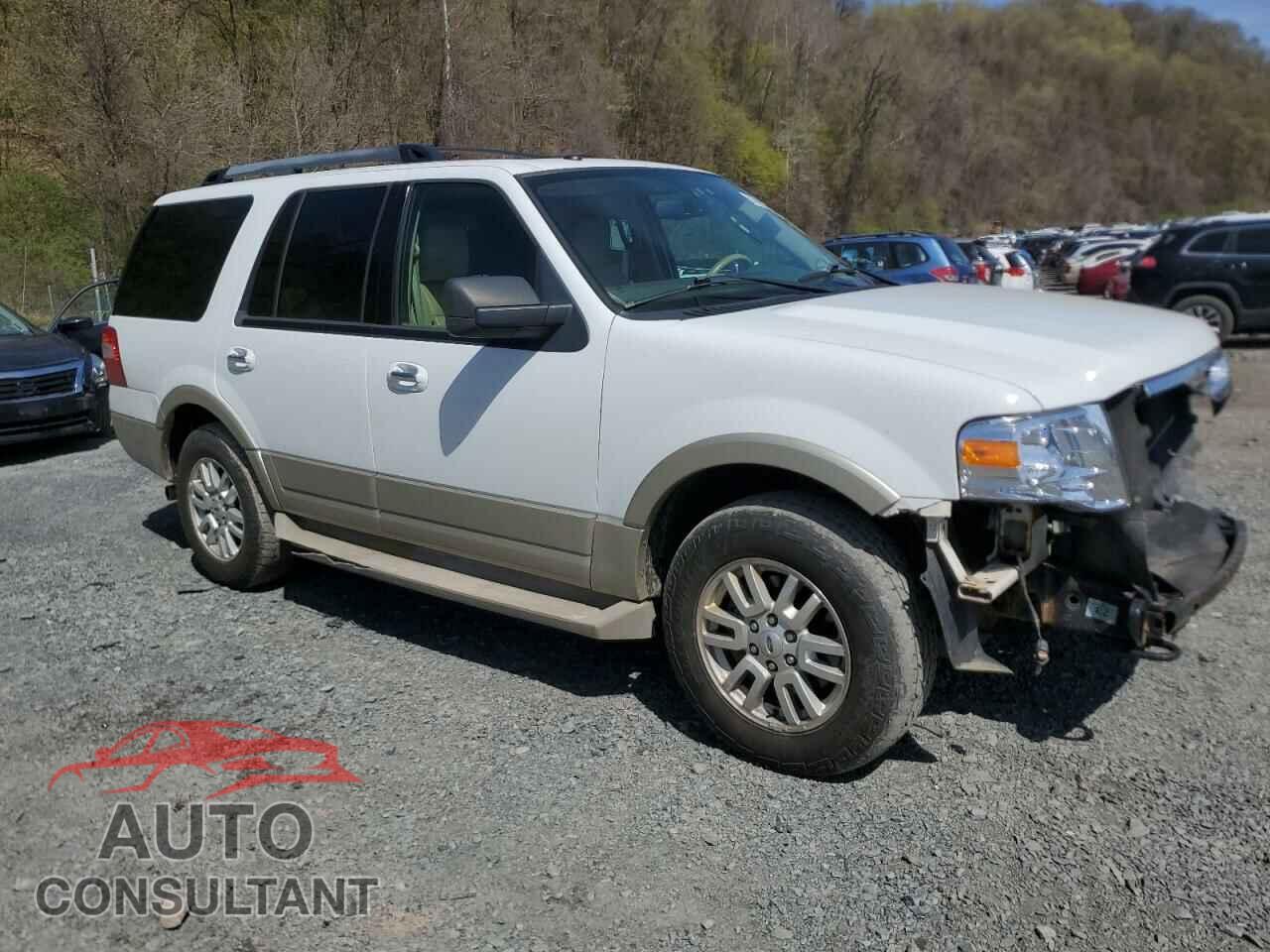 FORD EXPEDITION 2009 - 1FMFU18539EB20620