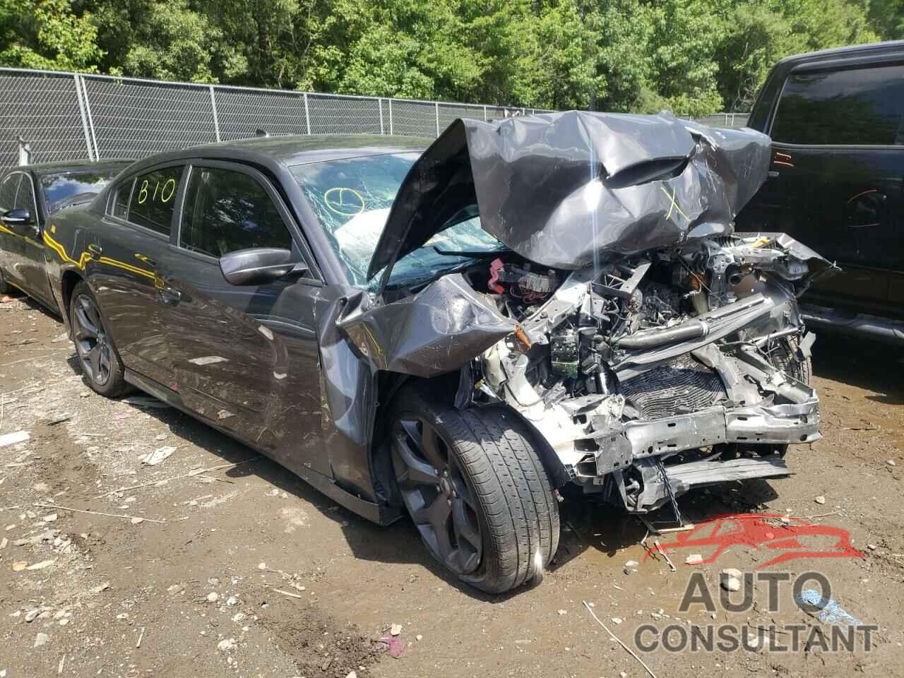 DODGE CHARGER 2019 - 2C3CDXHG9KH608923