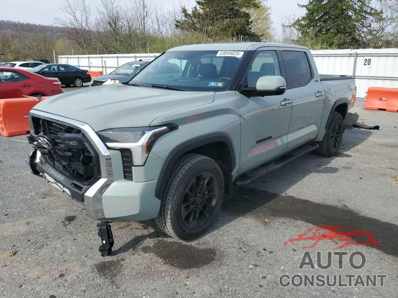 TOYOTA TUNDRA 2023 - 5TFLA5DB0PX099696