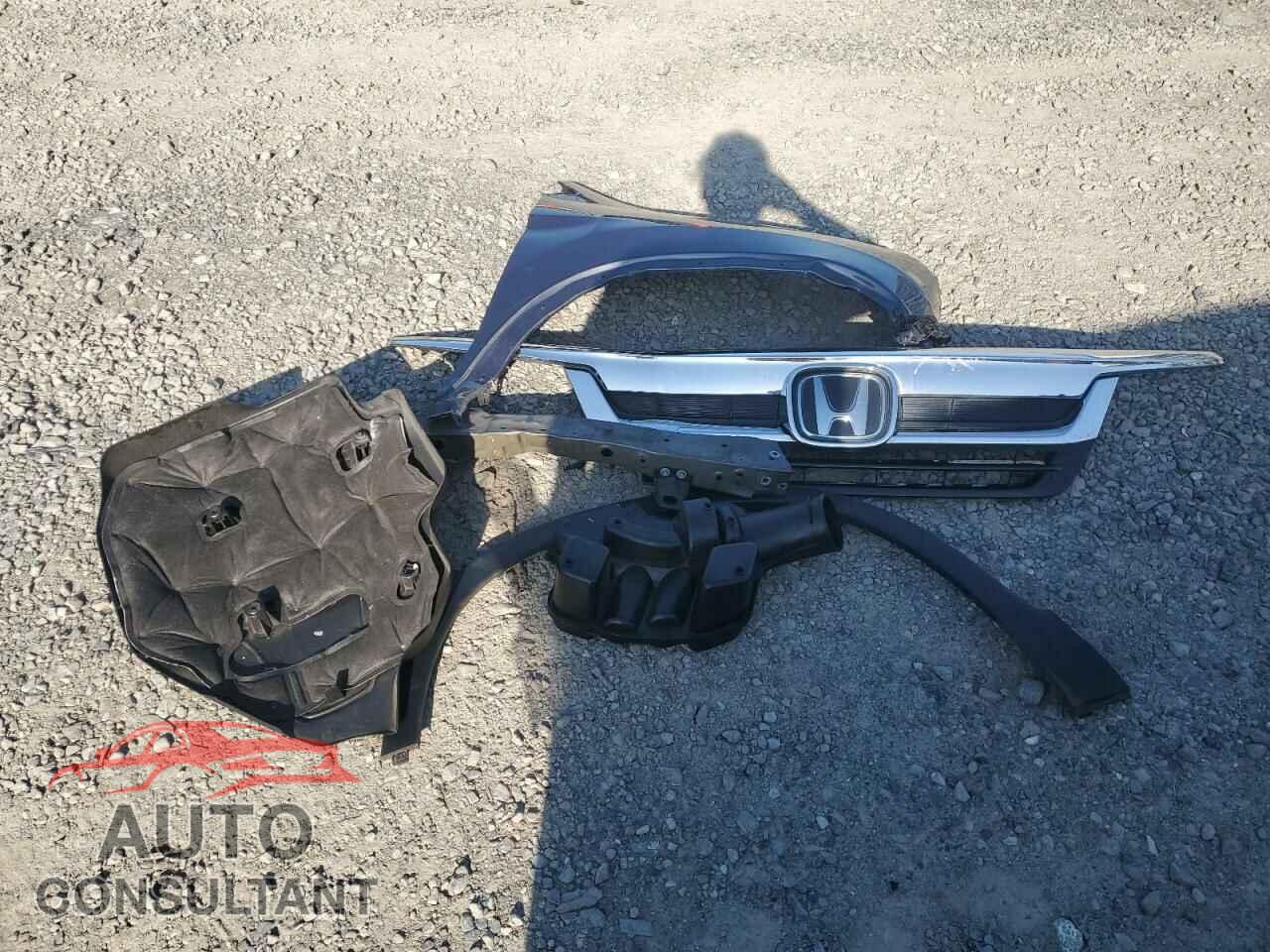 HONDA PILOT 2019 - 5FNYF6H9XKB067331