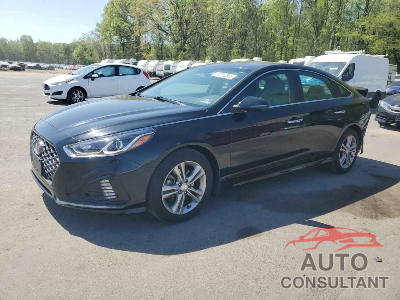HYUNDAI SONATA 2019 - 5NPE34AF8KH802017