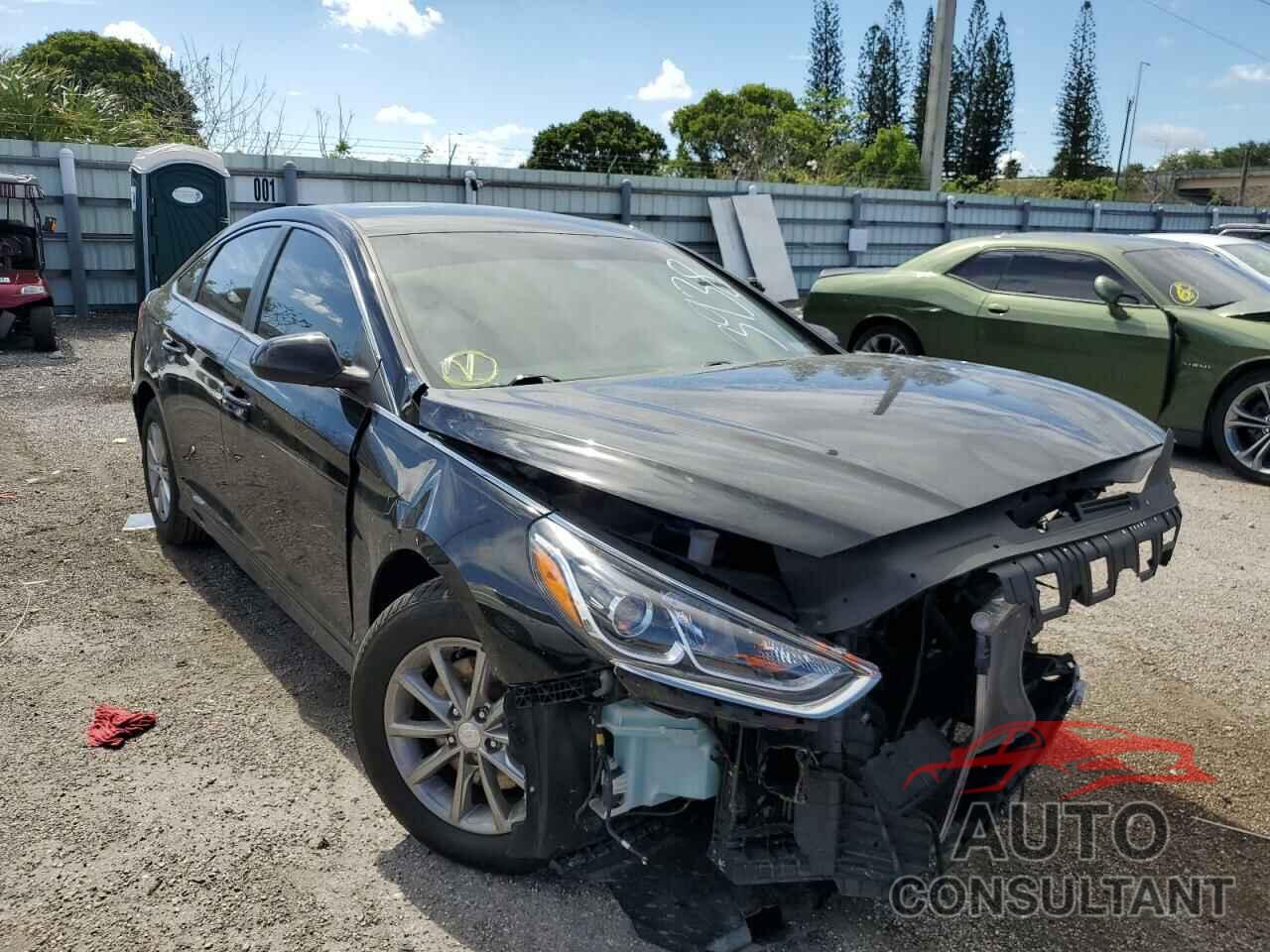 HYUNDAI SONATA 2019 - 5NPE24AF5KH763938