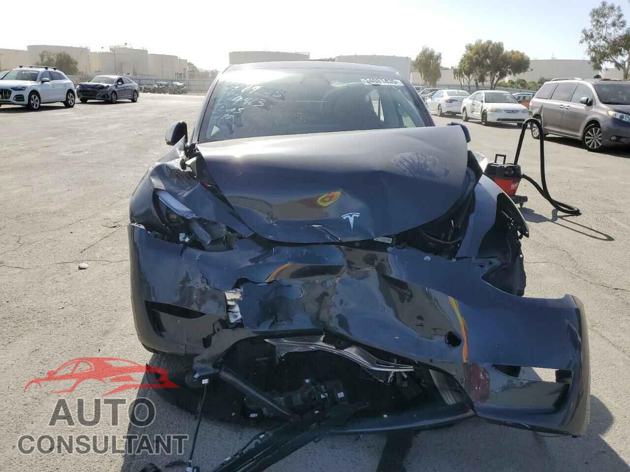 TESLA MODEL Y 2025 - 7SAYGDED7SF314429