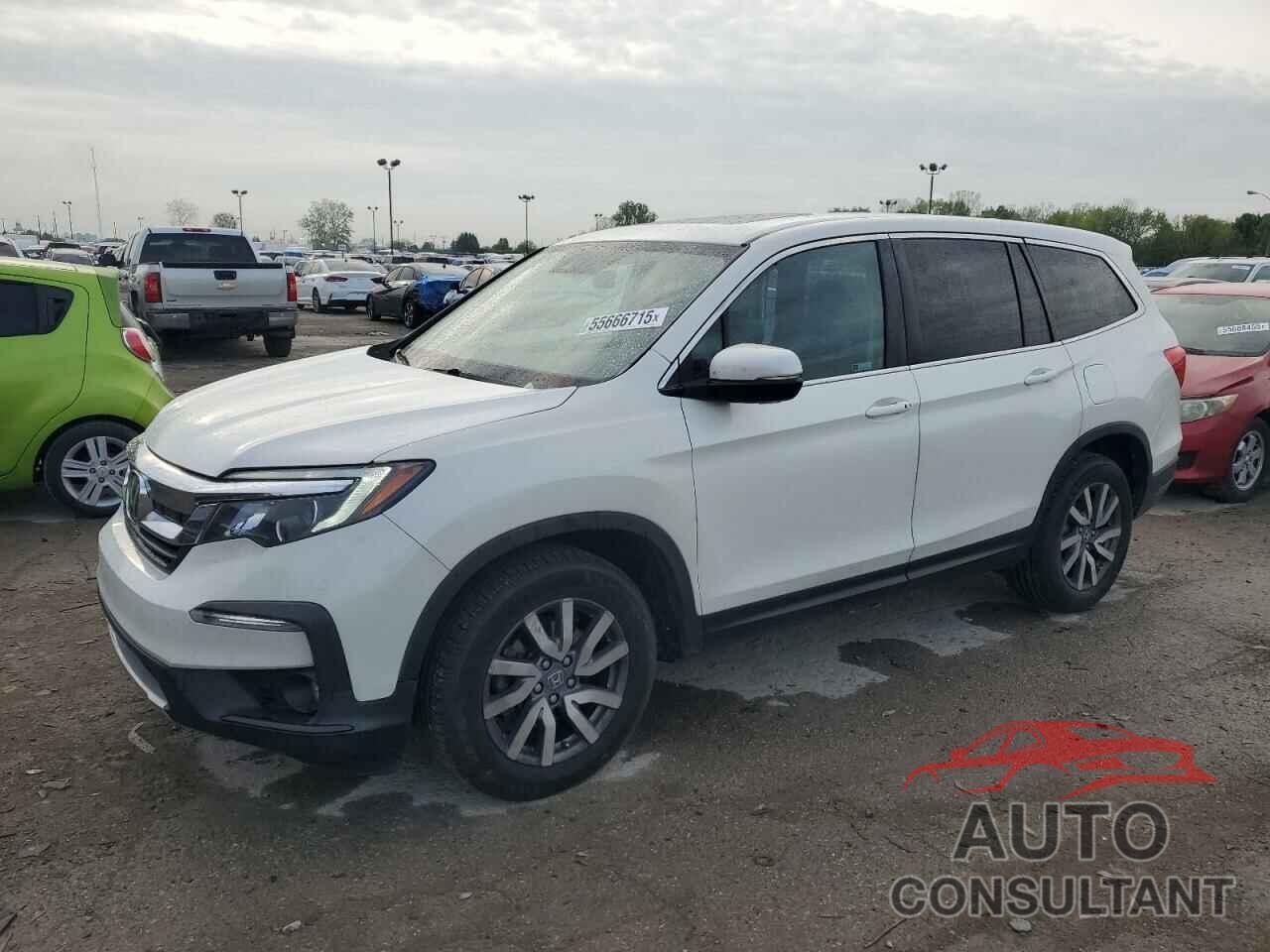 HONDA PILOT 2019 - 5FNYF6H4XKB047455