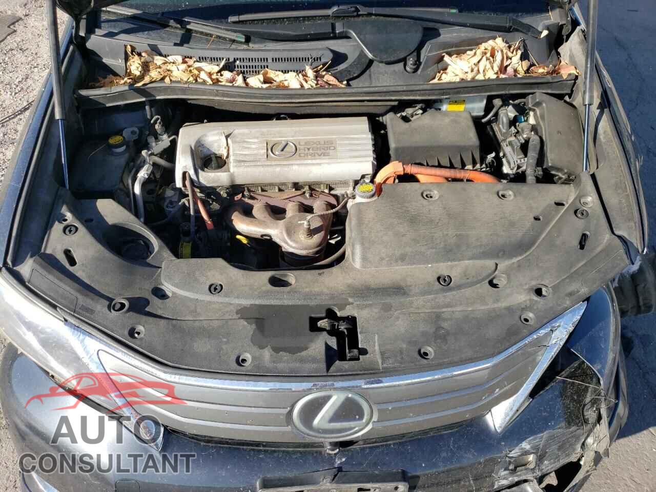 LEXUS HS 2010 - JTHBB1BA9A2011985