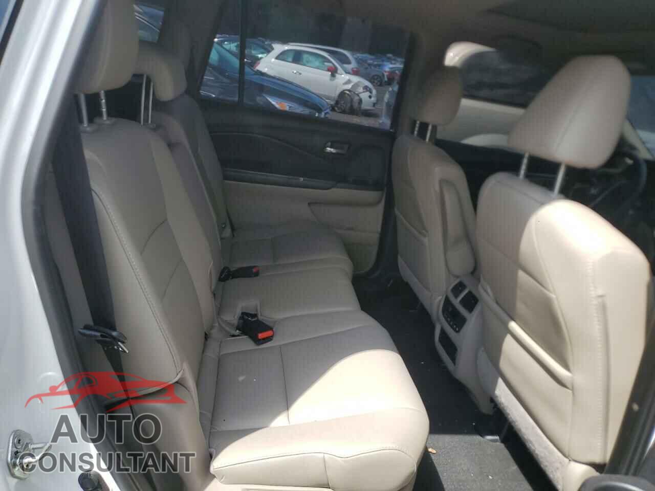 HONDA PILOT 2019 - 5FNYF6H55KB077553