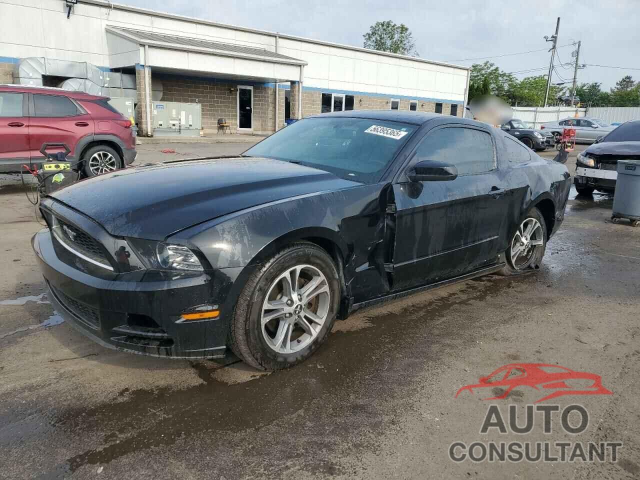FORD ALL Models 2014 - 1ZVBP8AMXE5303055