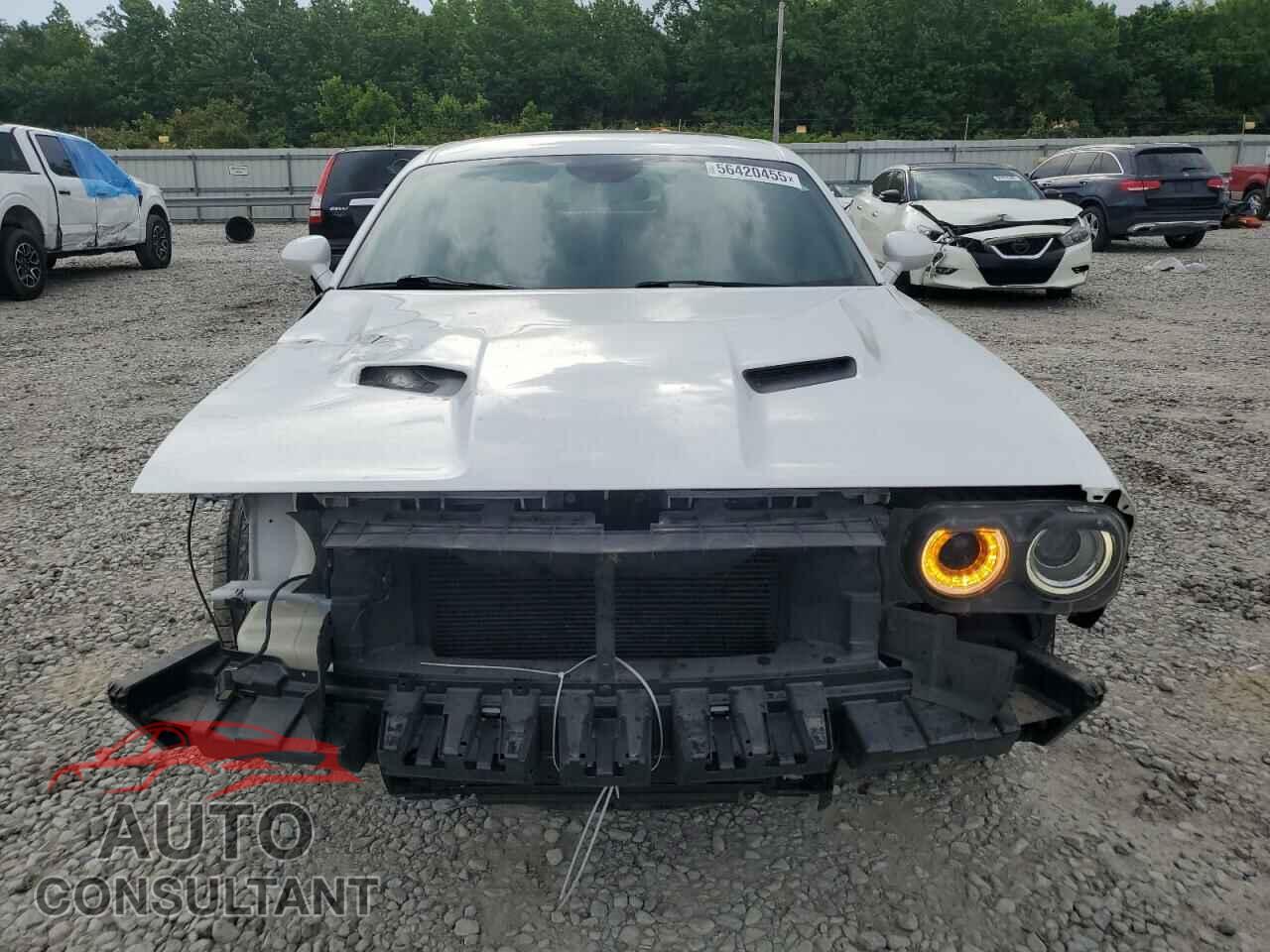 DODGE CHALLENGER 2015 - 2C3CDZBG8FH720848