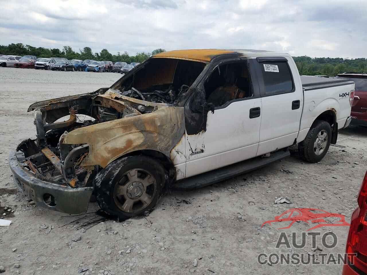 FORD F-150 2013 - 1FTFW1ET9DKD49587