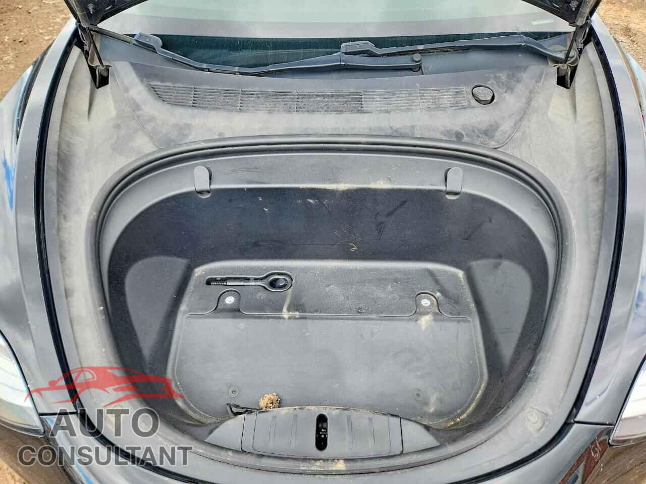 TESLA MODEL 3 2019 - 5YJ3E1EA8KF401841