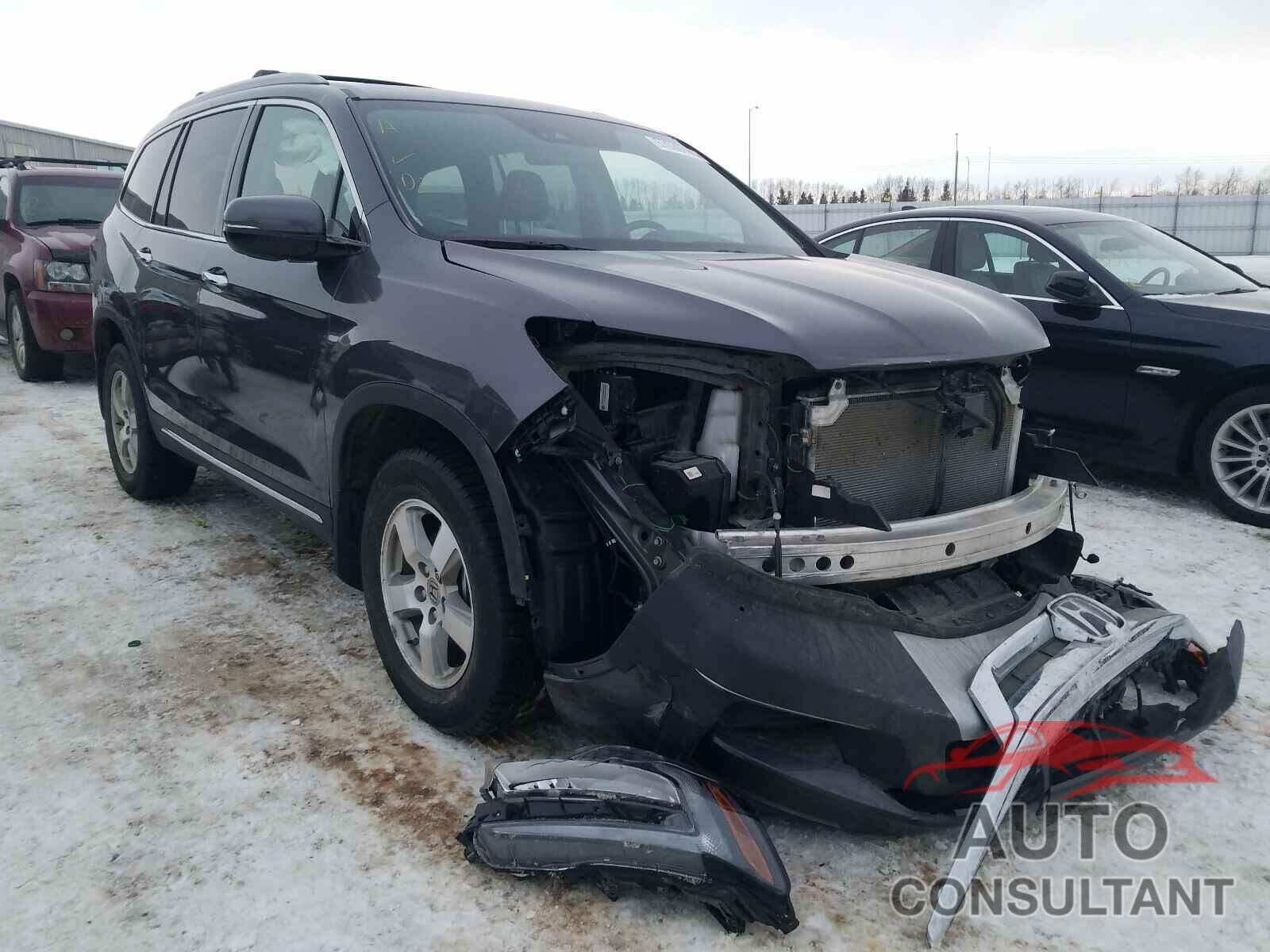HONDA PILOT 2019 - 5FNYF6H91KB502365