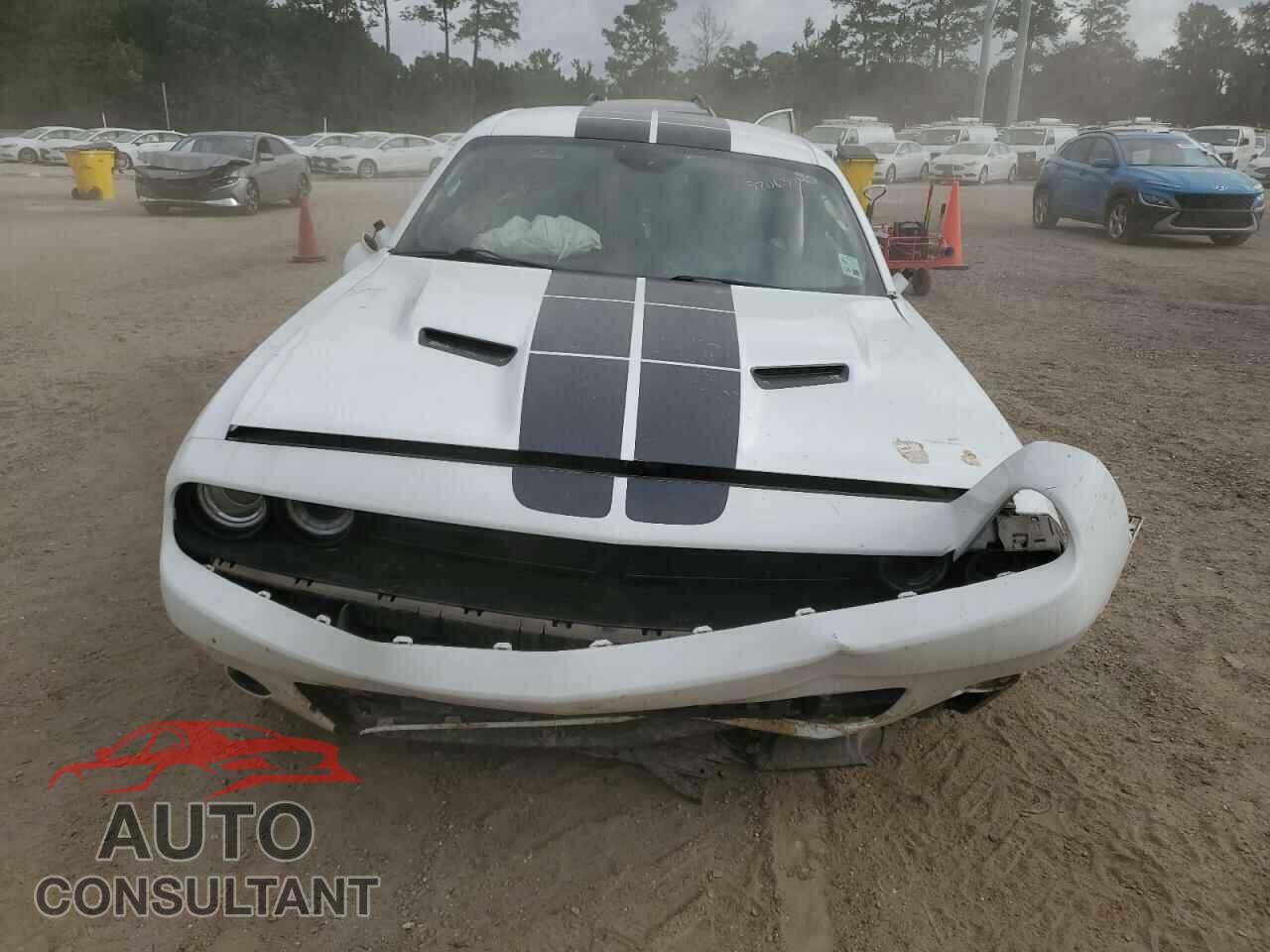 DODGE CHALLENGER 2018 - 2C3CDZAG8JH271889