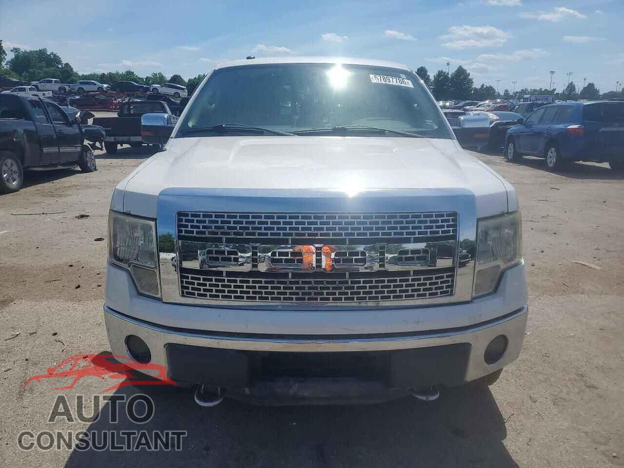FORD F150 2011 - 1FTFW1ET7BFC95891