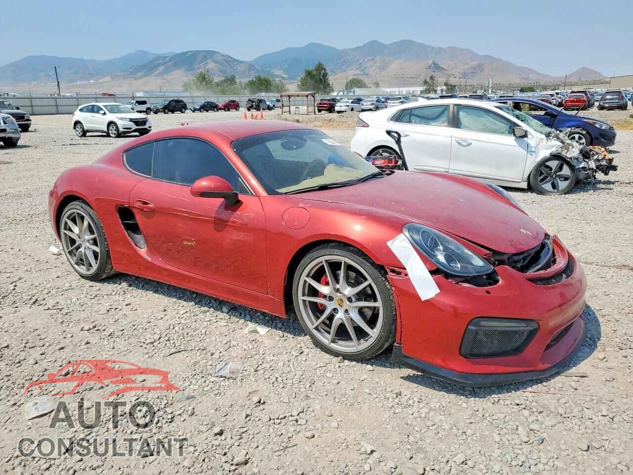 PORSCHE CAYMAN 2014 - WP0AB2A87EK193743