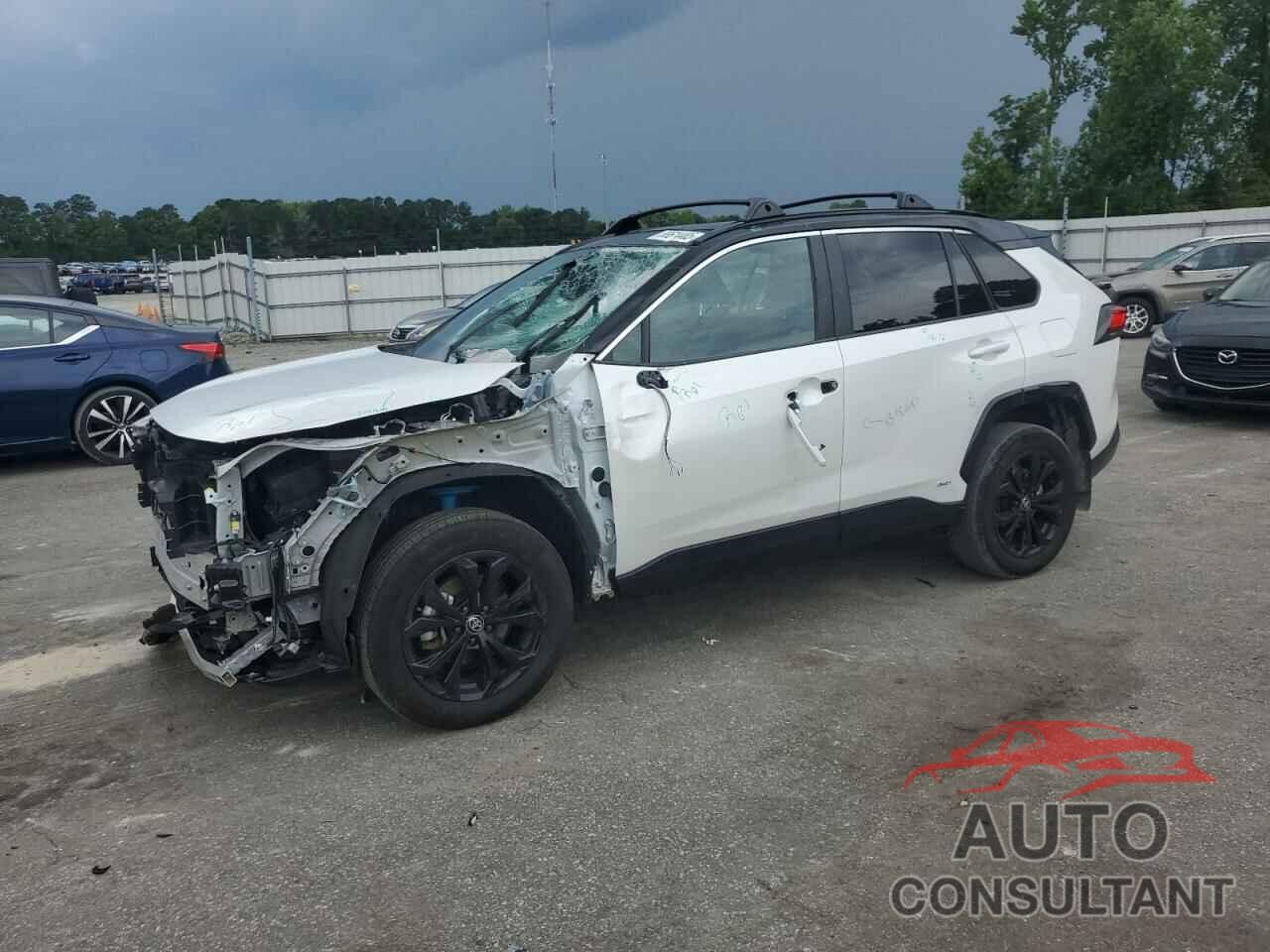 TOYOTA RAV4 2024 - 2T3E6RFV5RW055158