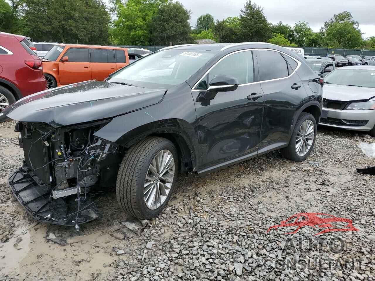 LEXUS NX 350 PRE 2025 - 2T2GGCEZ0SC083565