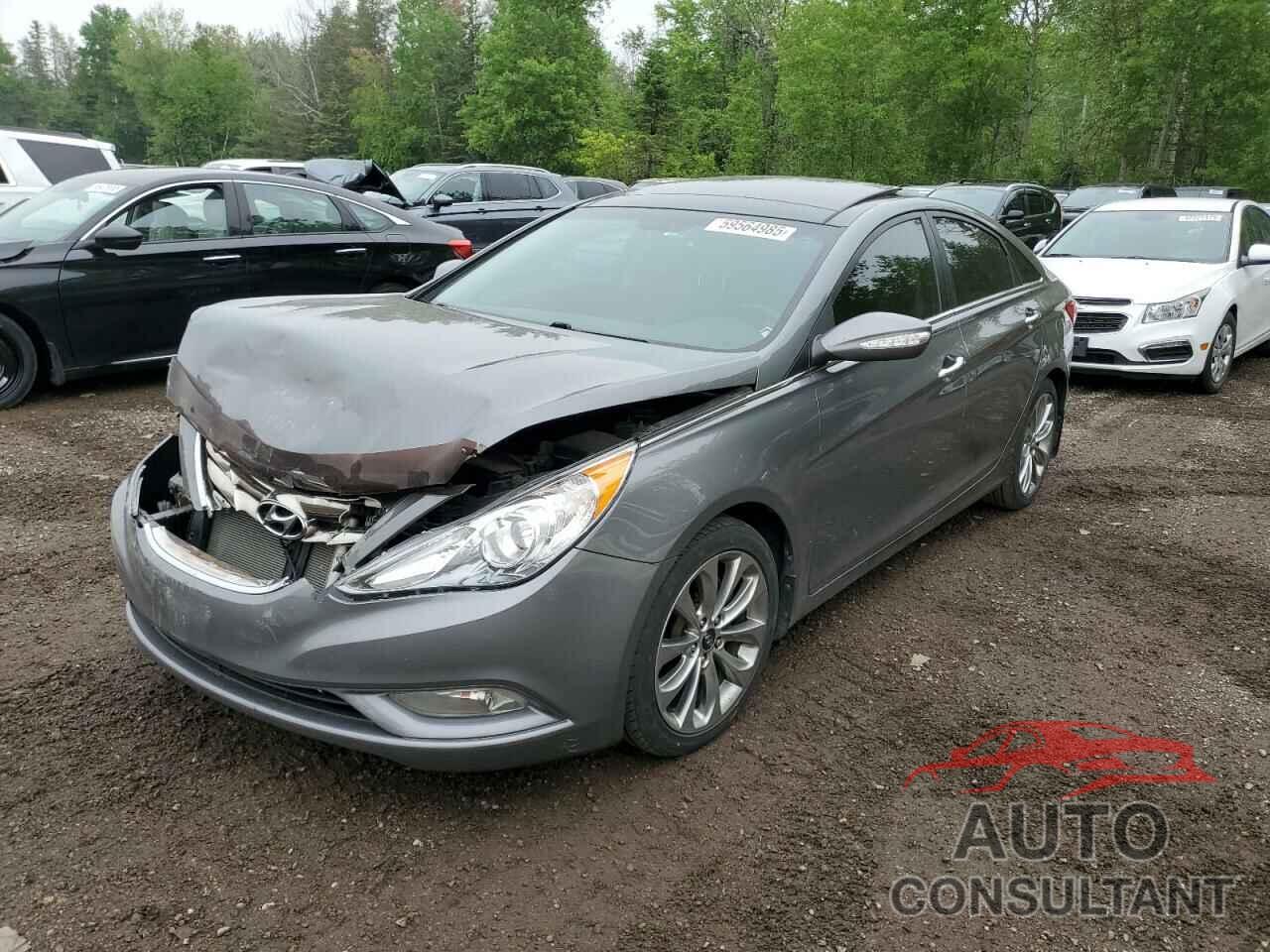 HYUNDAI SONATA 2013 - 5NPEC4AB0DH639878