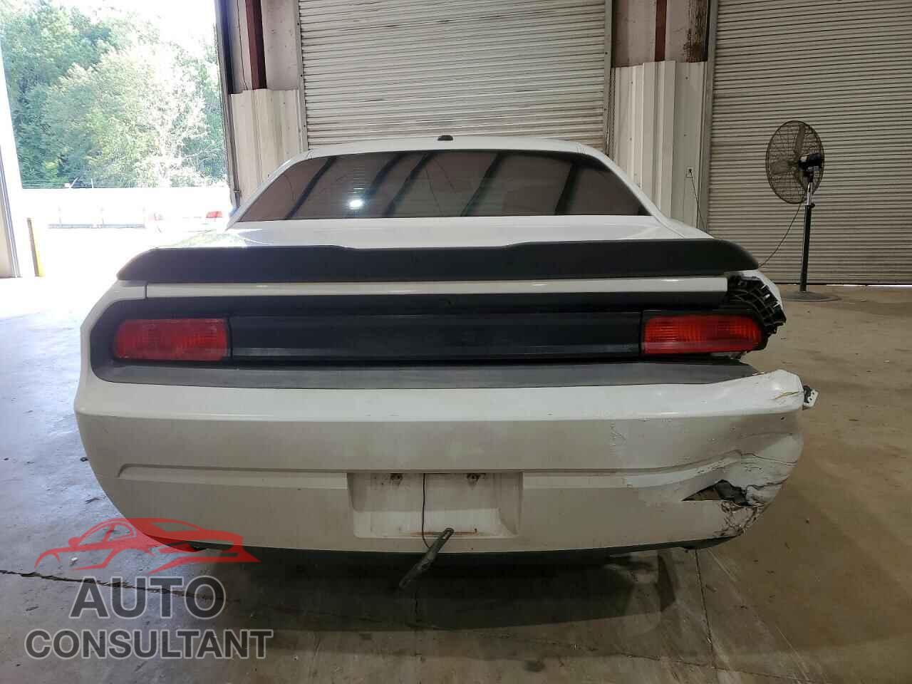 DODGE CHALLENGER 2013 - 2C3CDYBT5DH710301