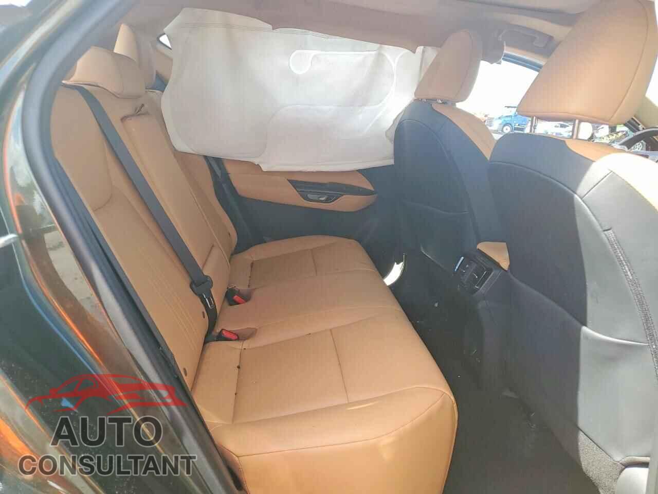 LEXUS NX 2025 - 2T2GDCAZ2SC020935