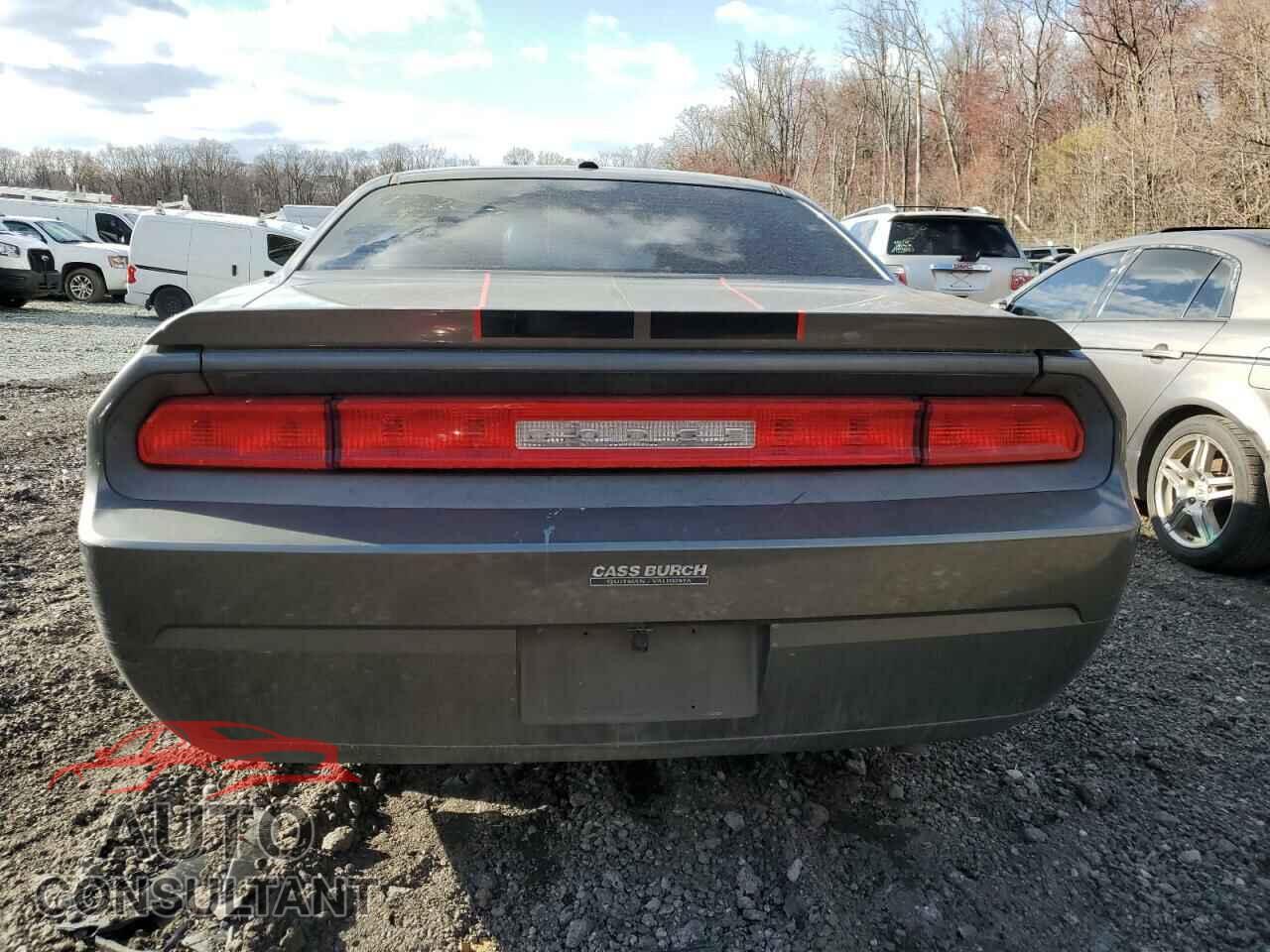 DODGE CHALLENGER 2010 - 2B3CJ4DV2AH189918