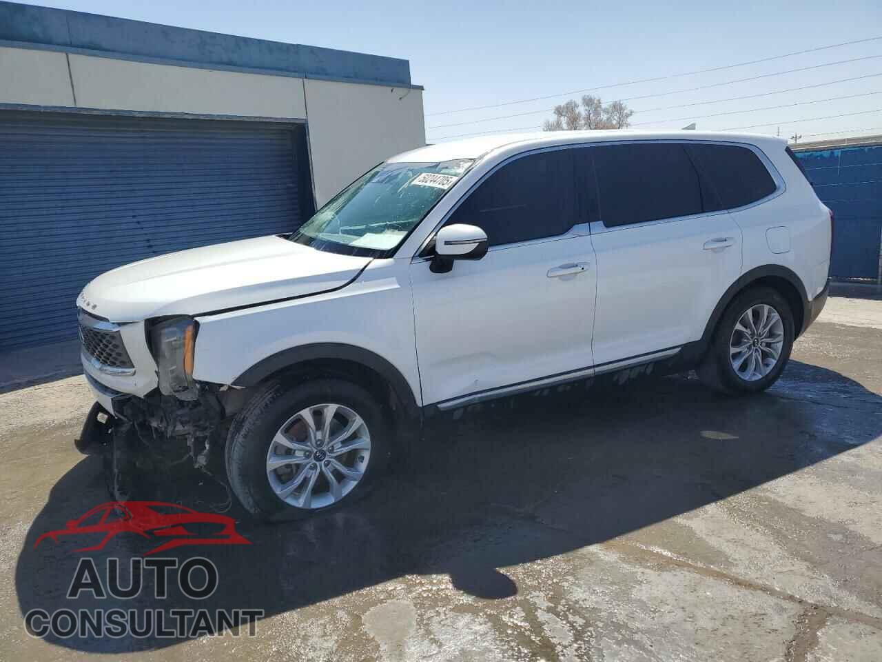 KIA TELLURIDE 2021 - 5XYP2DHC2MG098575