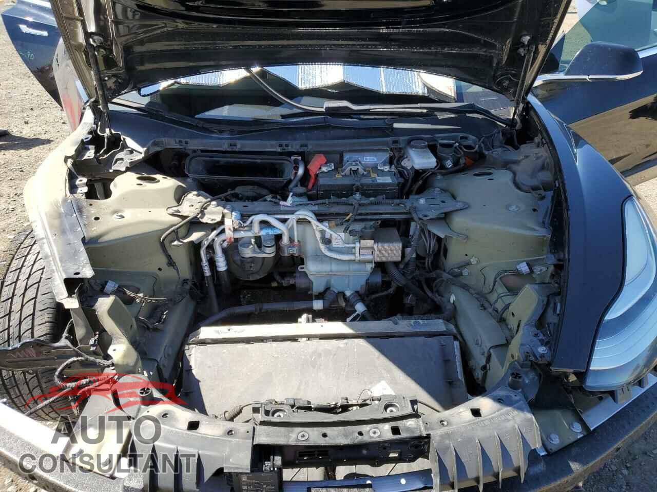 TESLA MODEL 3 2019 - 5YJ3E1EA5KF305679