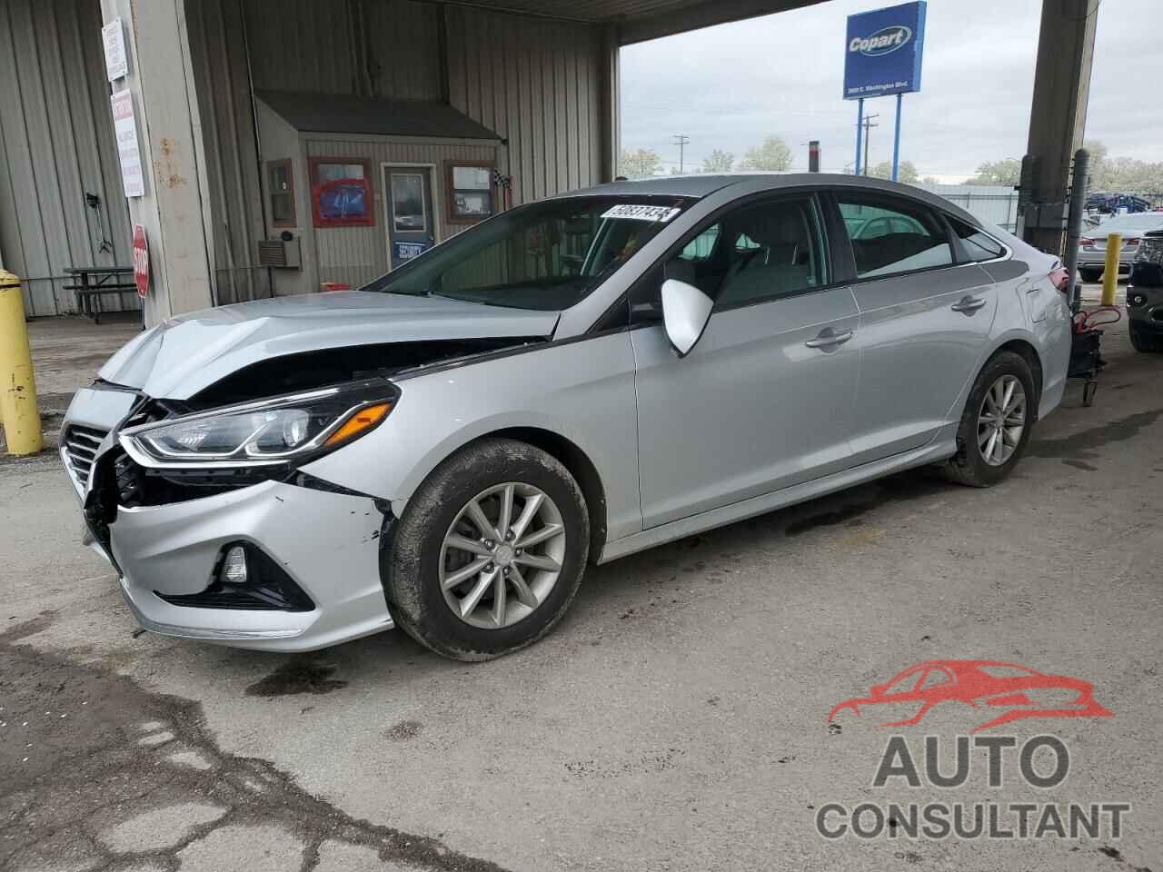 HYUNDAI SONATA 2019 - 5NPE24AF1KH792997