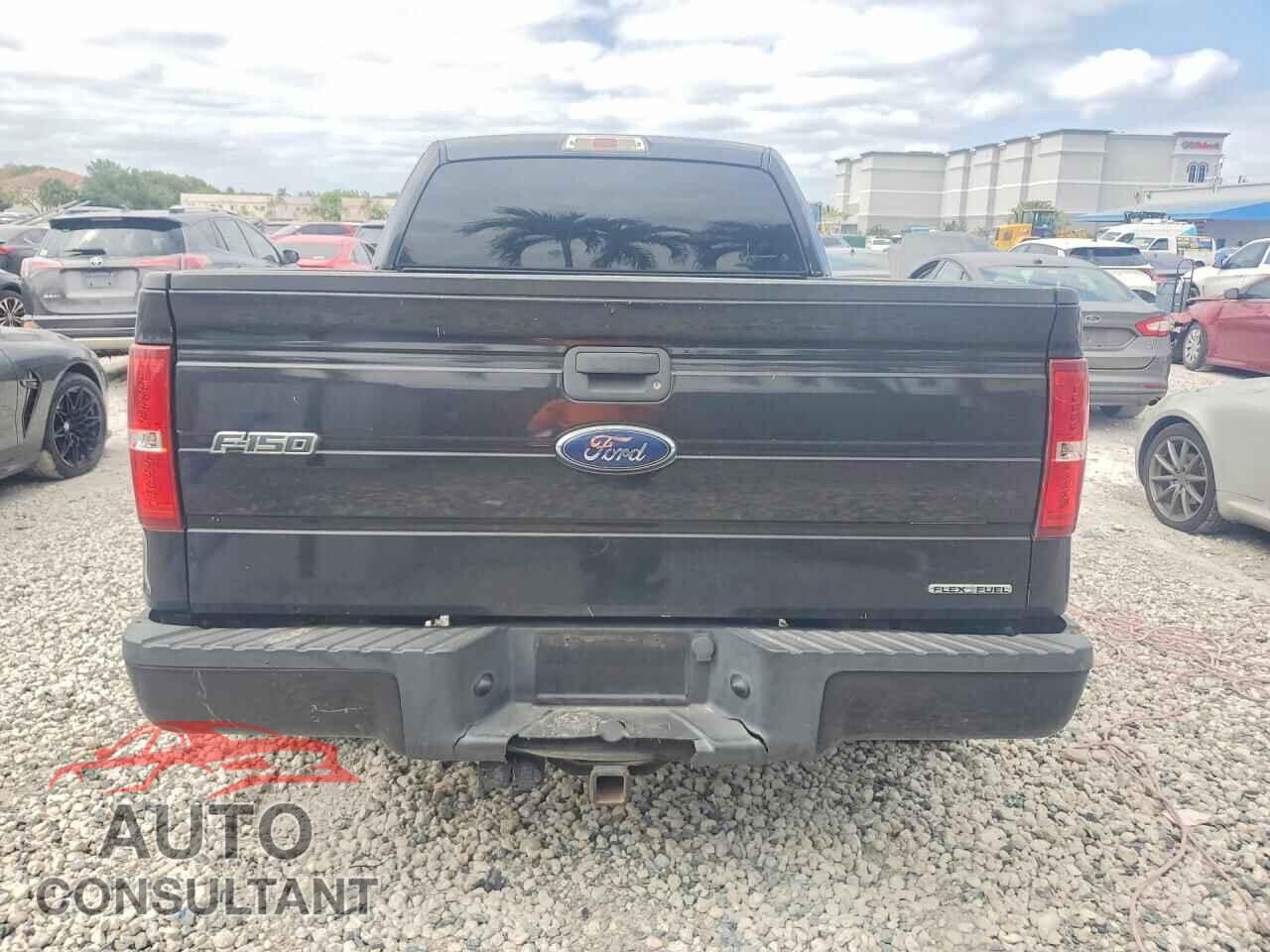 FORD F150 2011 - 1FTFX1CF6BFB39867