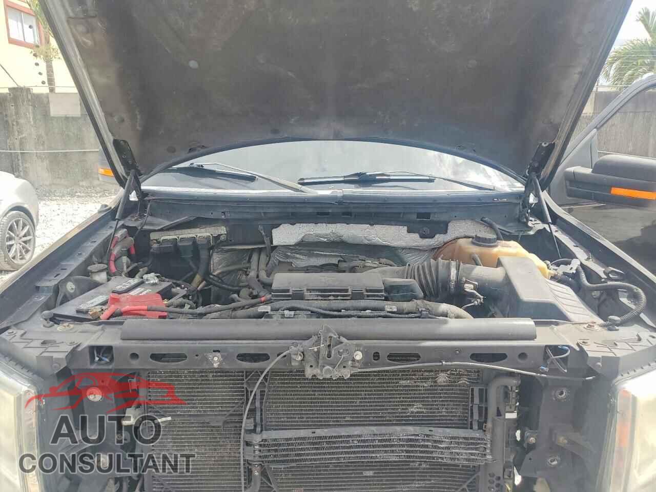 FORD F150 2011 - 1FTFX1CF6BFB39867