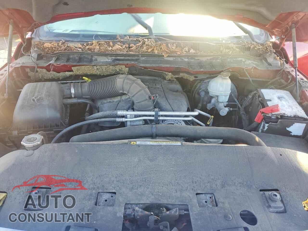 DODGE All Models 2010 - 1D7RB1CT3AS141329