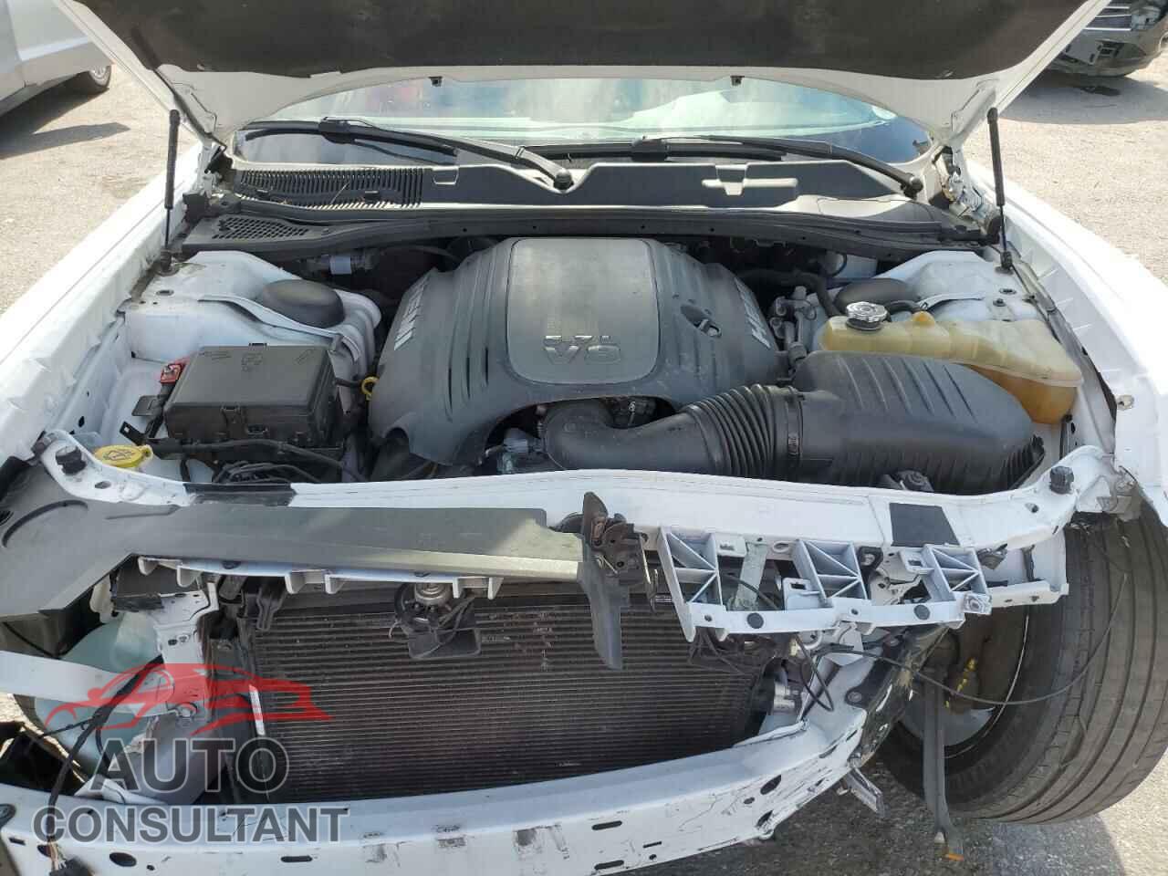 DODGE CHALLENGER 2019 - 2C3CDZBT2KH531944