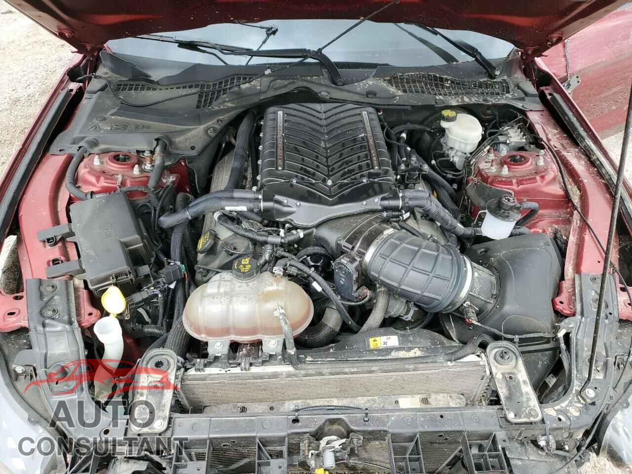 FORD MUSTANG 2015 - 1FA6P8CF2F5388600