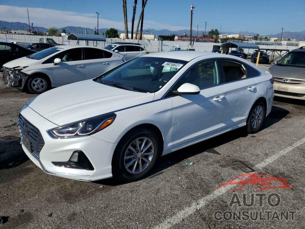 HYUNDAI SONATA 2019 - 5NPE24AF1KH752984