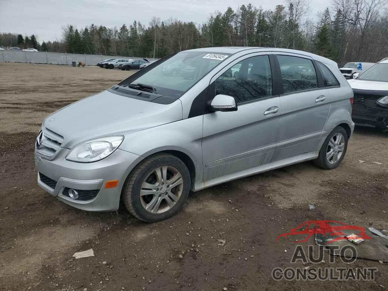 MERCEDES-BENZ B-CLASS 2009 - WDDFH33X79J483609