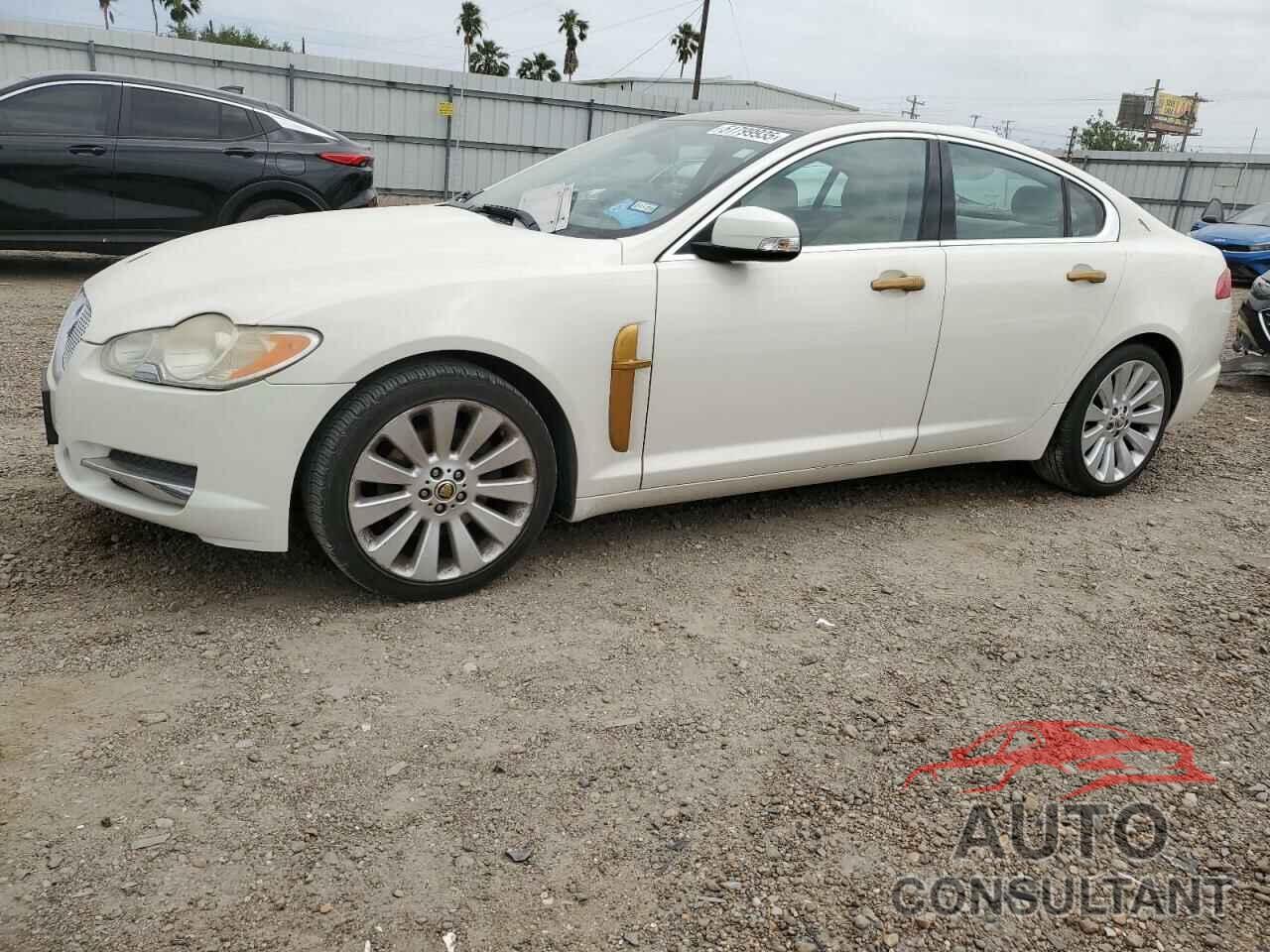 JAGUAR XF 2009 - SAJWA06B09HR36751