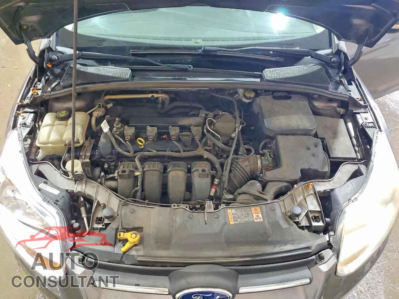 FORD FOCUS 2014 - 1FADP3K25EL386830