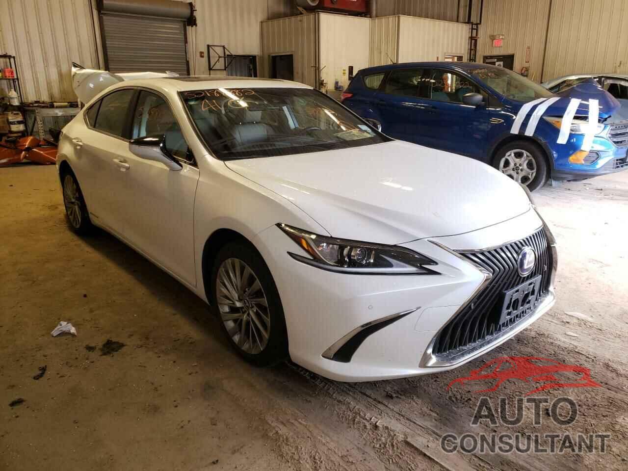 LEXUS ES300 2019 - JTHB21B17K2043366