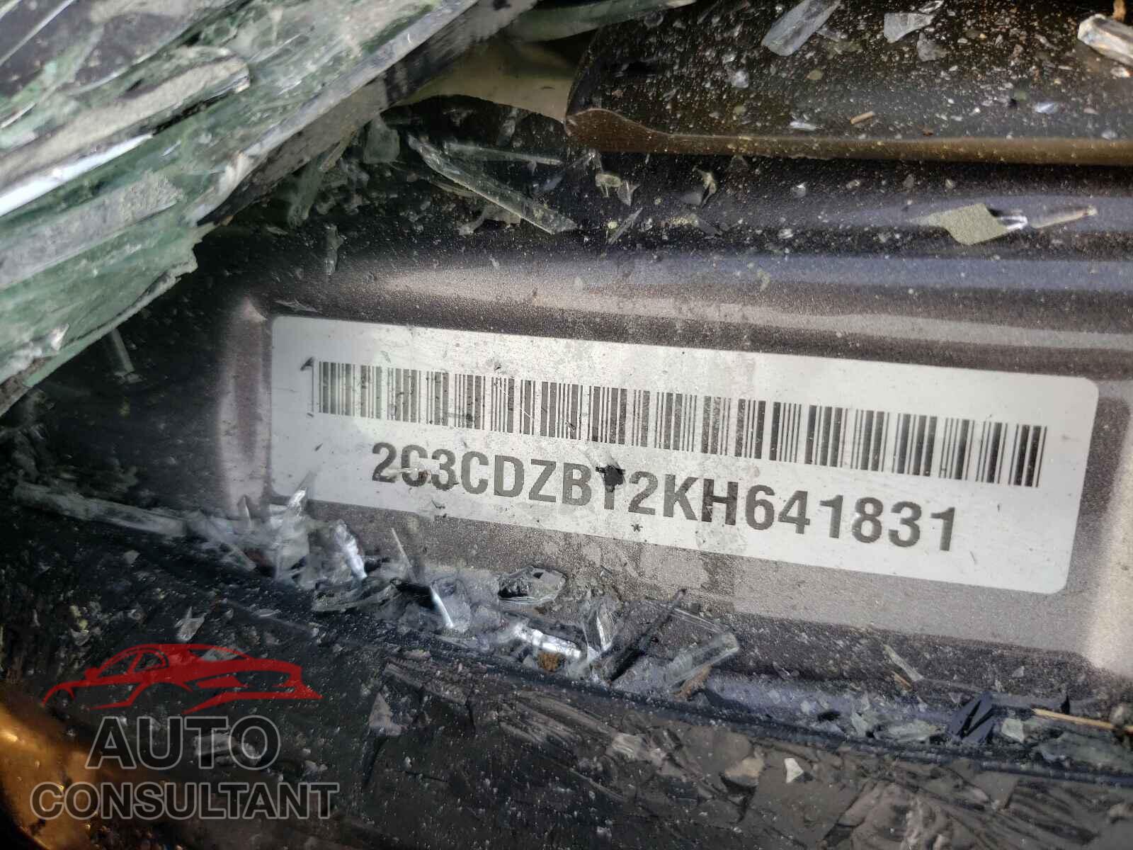 DODGE CHALLENGER 2019 - 2C3CDZBT2KH641831
