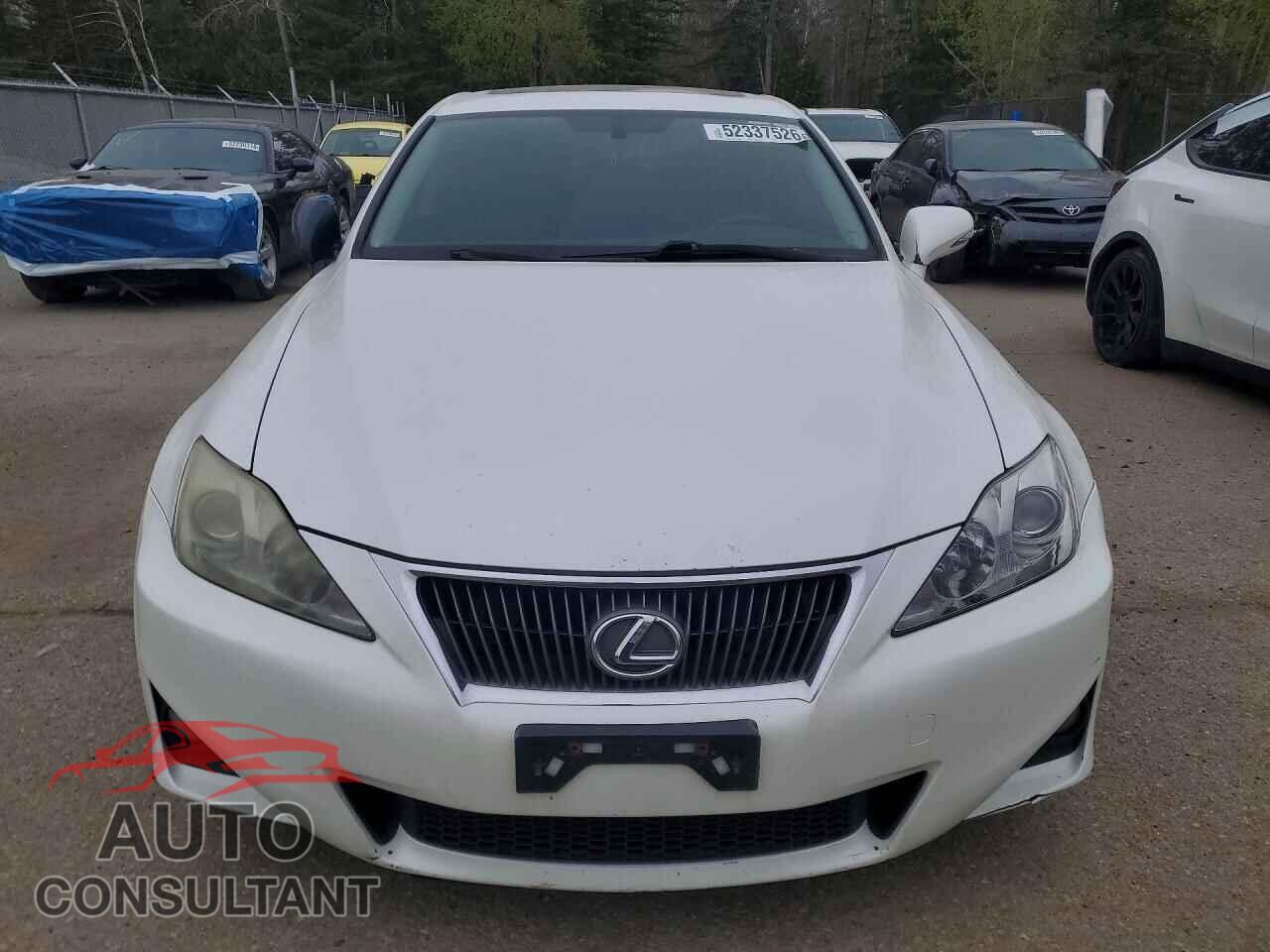 LEXUS IS 2011 - JTHCF5C28B5045858