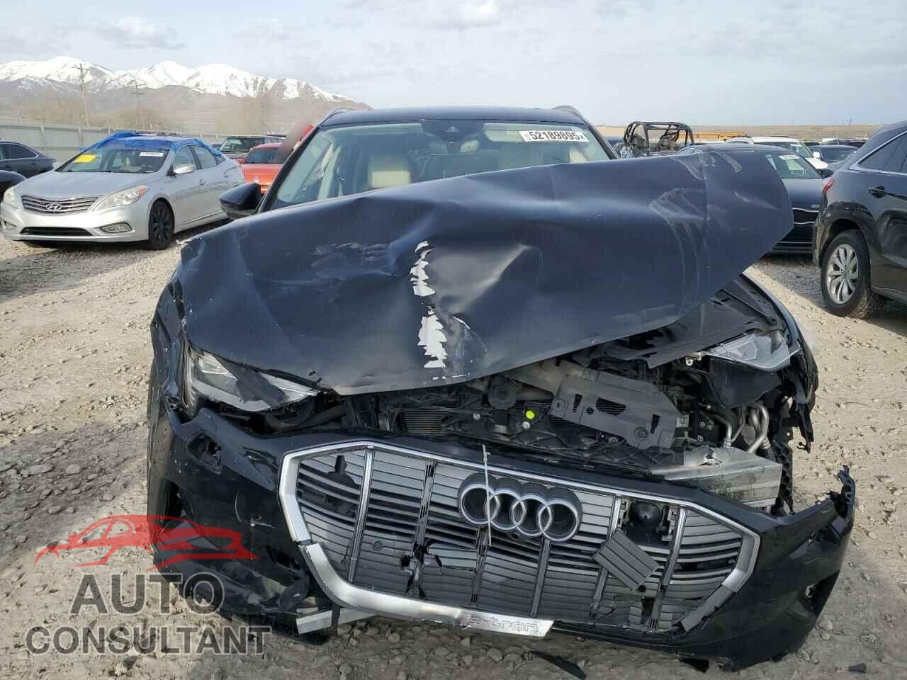 AUDI E-TRON 2019 - WA1VAAGE0KB008725